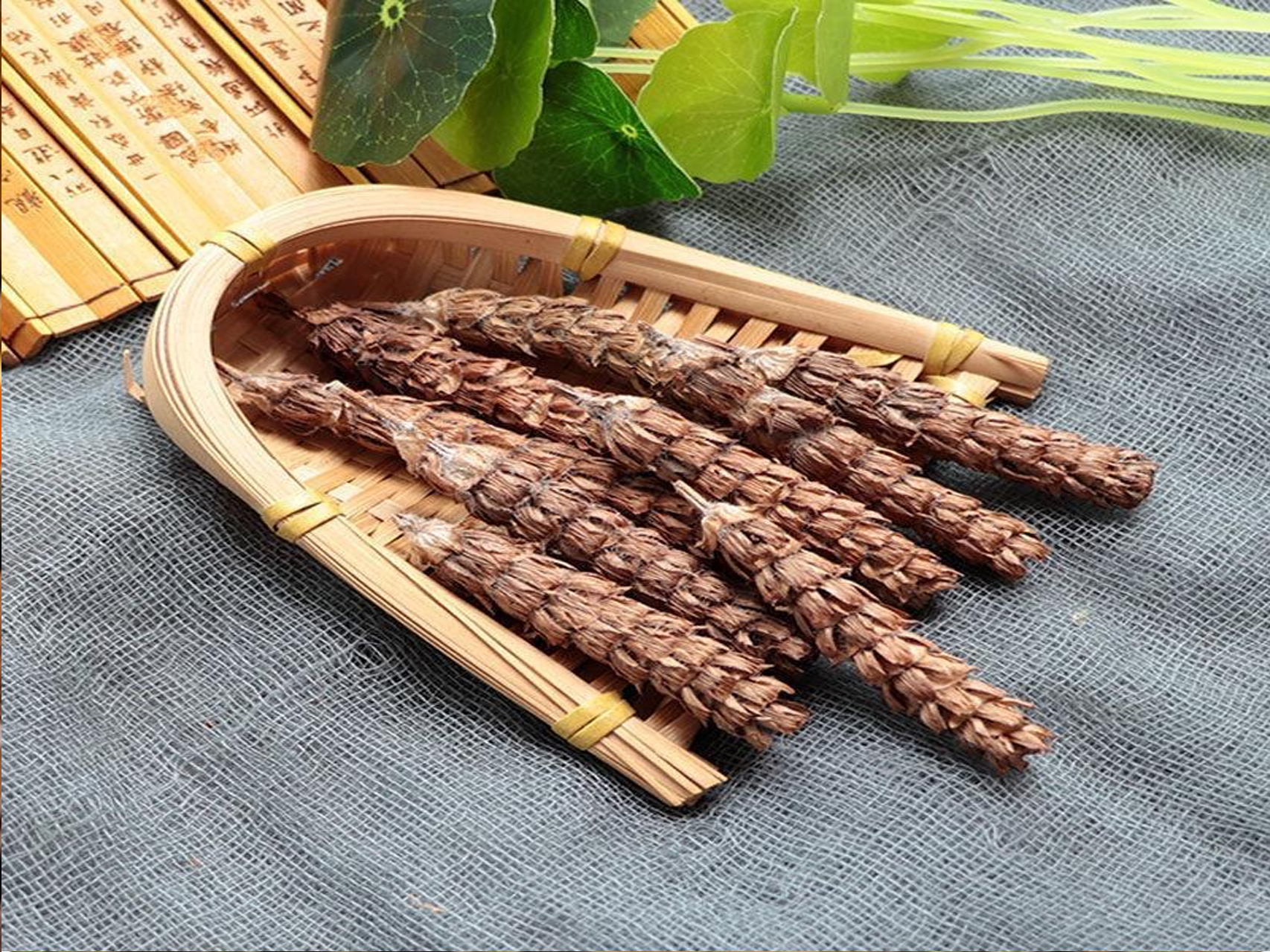 全国著名中药材产地确山夏谷草