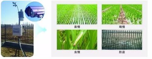 农产品溯源系统主要追踪哪些信息?