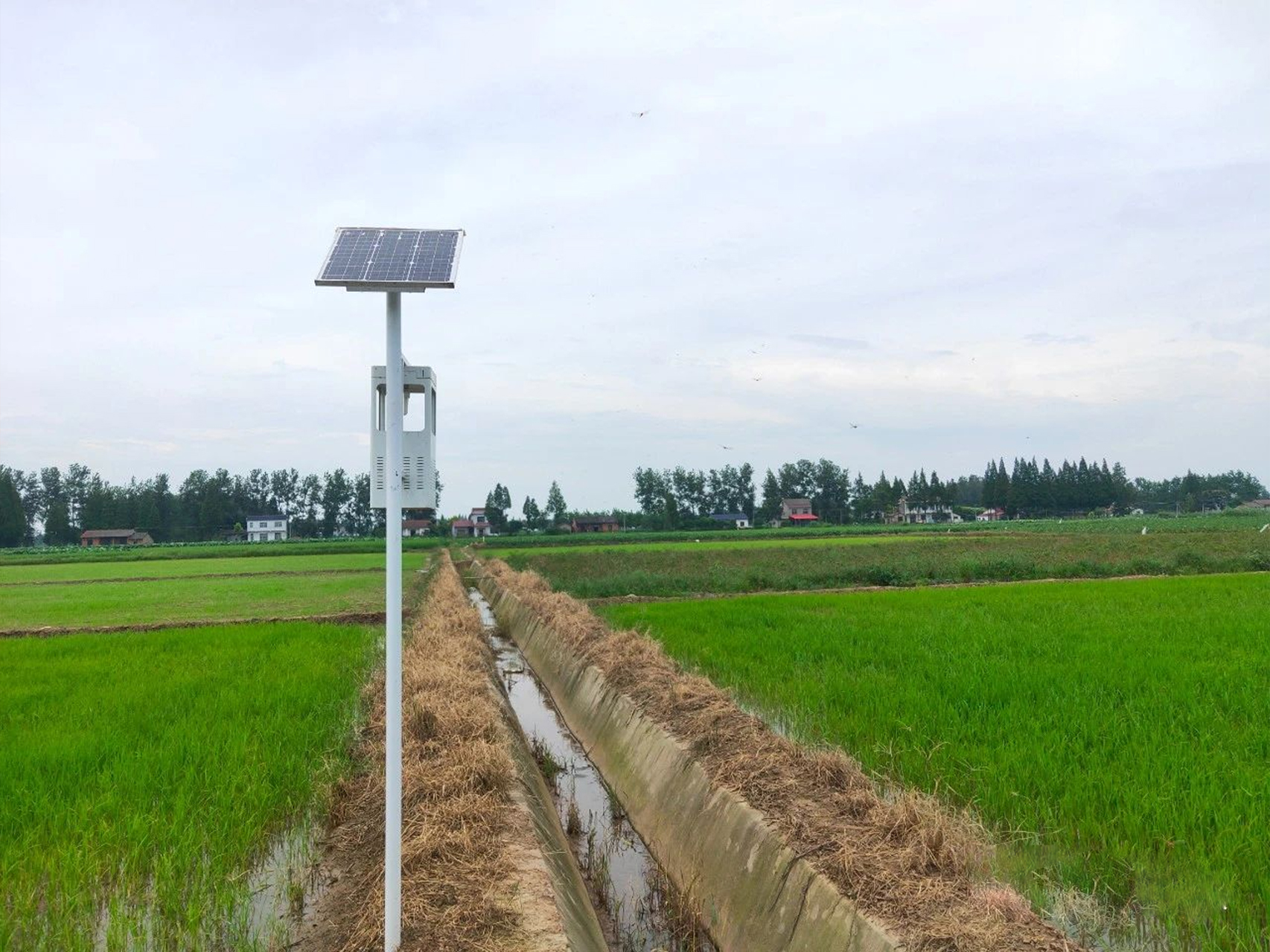 风吸式太阳能杀虫灯