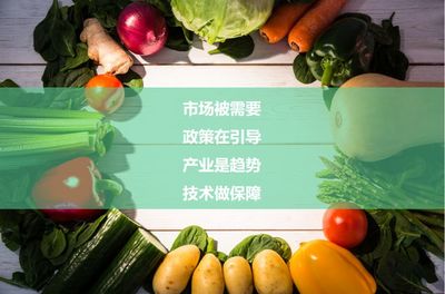 国家对农业蔬菜科技深加工最新扶持政策