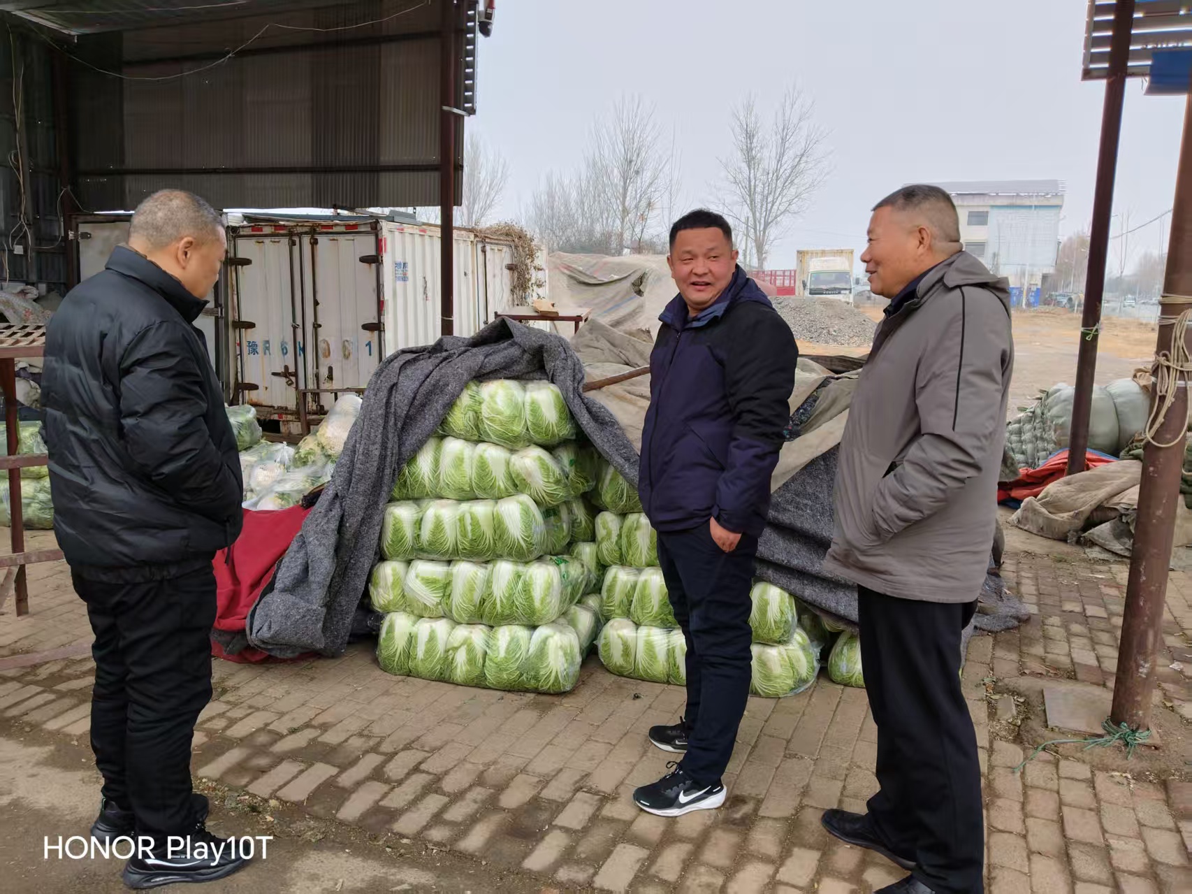 公司人员去南阳考查蔬菜合作事项